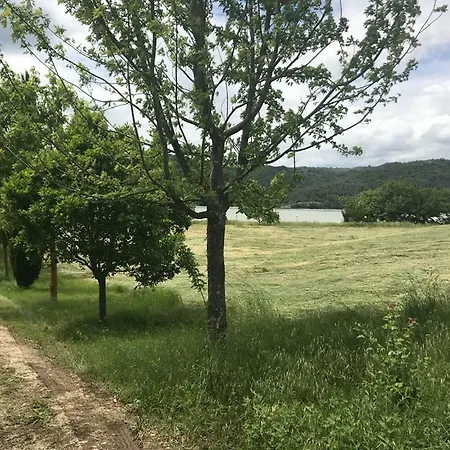 Camp Joy Village