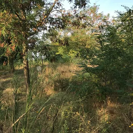 Campsite Camp Joy Village Baschi